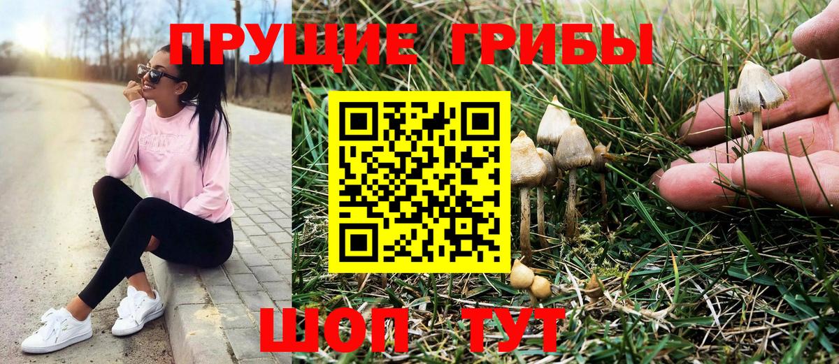 Галлюциногенные грибы GOLDEN TEACHER Тамбов