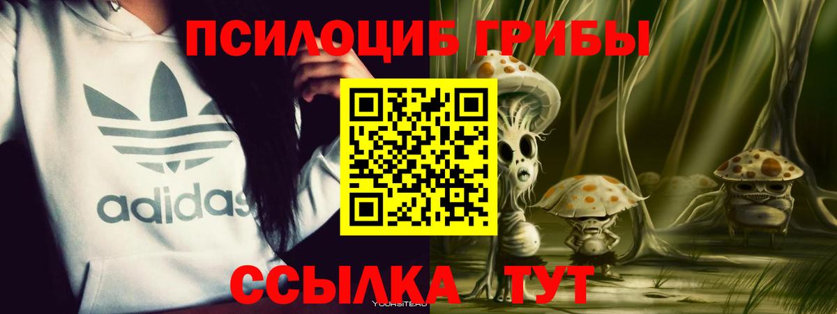 Галлюциногенные грибы Cubensis  Вход с VPN  Тамбов 